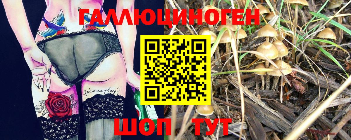 Галлюциногенные грибы Psilocybe Лянтор